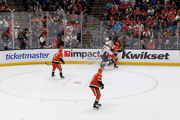 031125_ANAHEIM_DUCKS_1104
