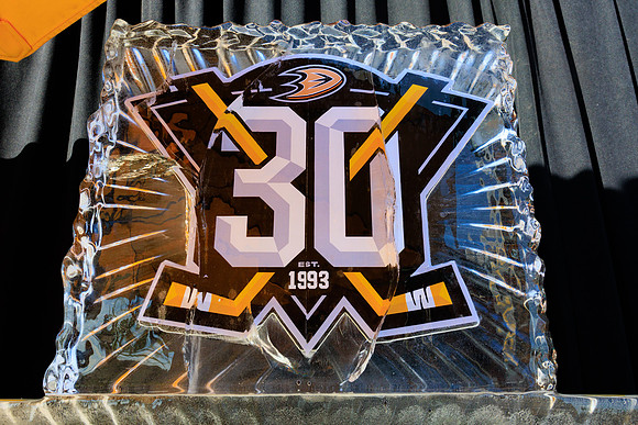 111223_ANAHEIM_DUCKS_0008