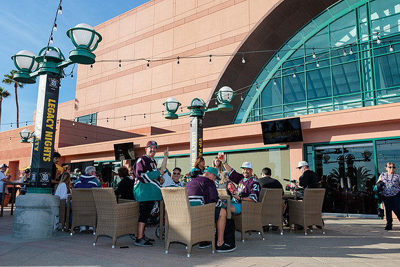 111223_ANAHEIM_DUCKS_0020