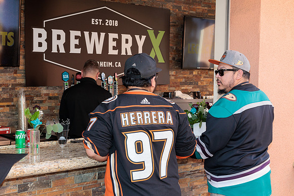 111223_ANAHEIM_DUCKS_0022