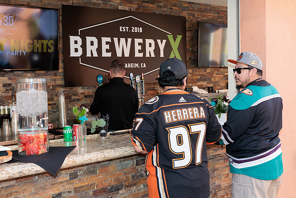 111223_ANAHEIM_DUCKS_0021