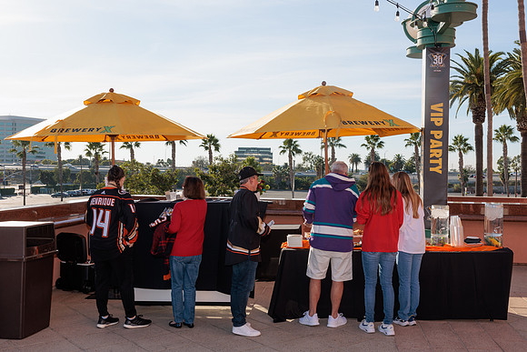 111223_ANAHEIM_DUCKS_0025