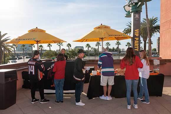 111223_ANAHEIM_DUCKS_0026