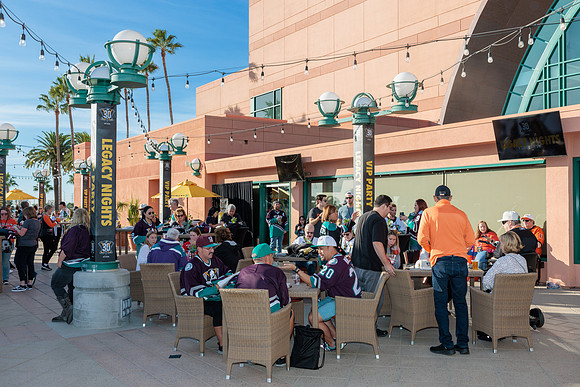 111223_ANAHEIM_DUCKS_0028