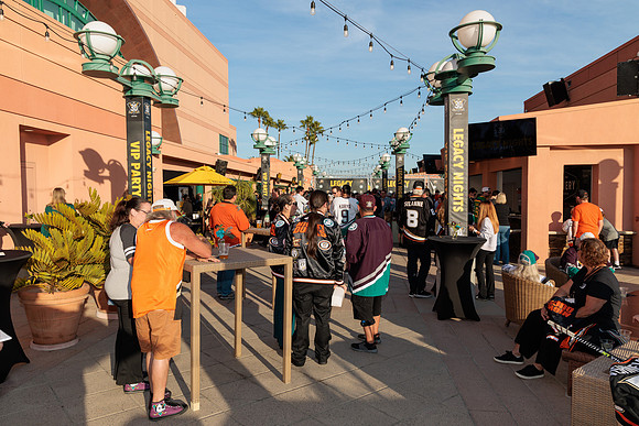 111223_ANAHEIM_DUCKS_0060