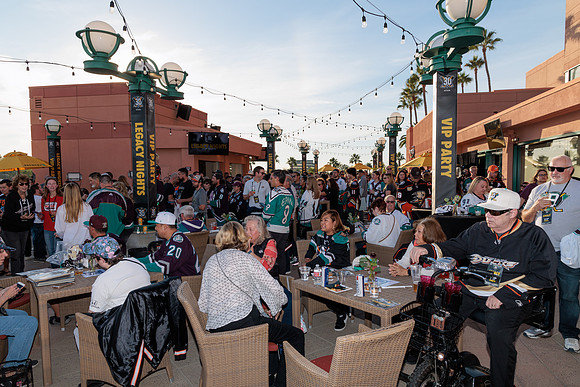 111223_ANAHEIM_DUCKS_0064