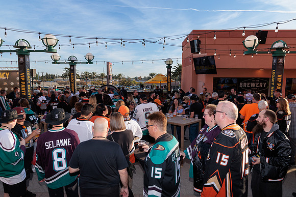 111223_ANAHEIM_DUCKS_0068