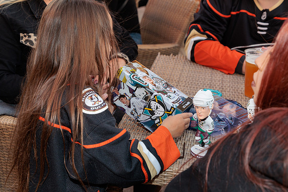 111223_ANAHEIM_DUCKS_0202