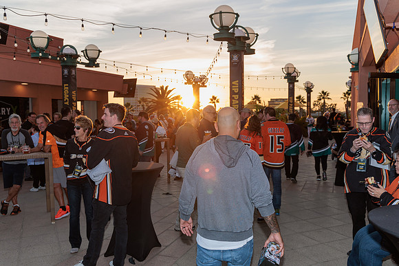 111223_ANAHEIM_DUCKS_0208