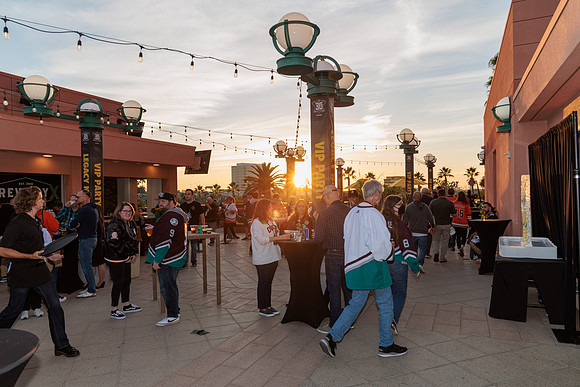 111223_ANAHEIM_DUCKS_0209