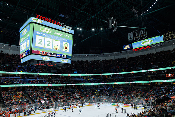 031125_ANAHEIM_DUCKS_1093
