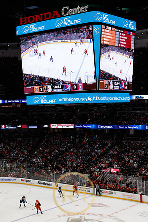 041325_ANAHEIM_DUCKS_236