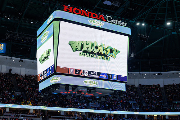 031125_ANAHEIM_DUCKS_1081
