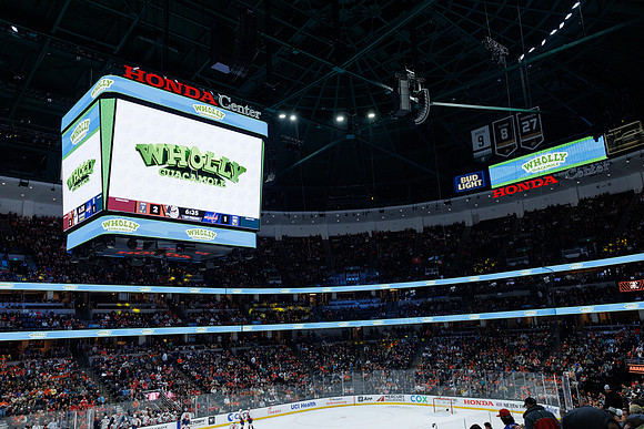031125_ANAHEIM_DUCKS_1084