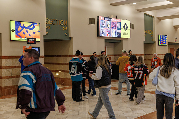 031125_ANAHEIM_DUCKS_0848
