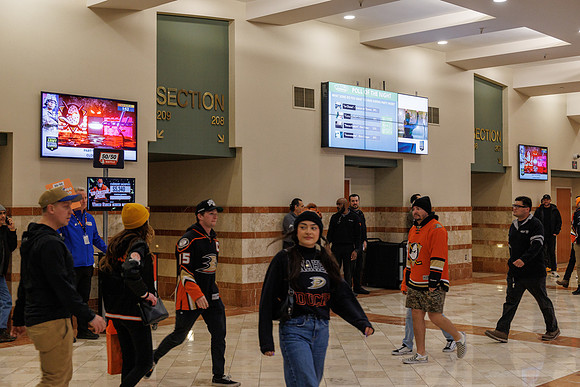 031125_ANAHEIM_DUCKS_0811