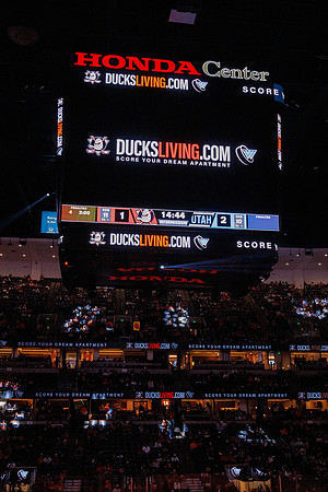 101624_ANAHEIM_DUCKS_0548