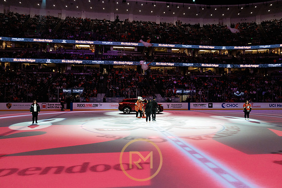 041325_ANAHEIM_DUCKS_282