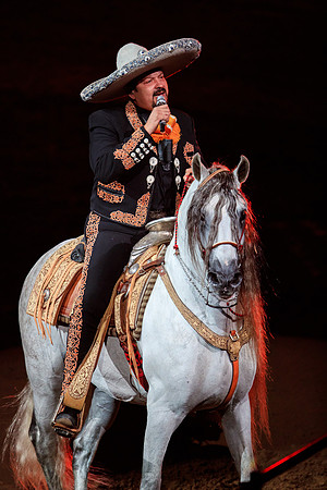 090118_LA_HONDA_CENTER_0087