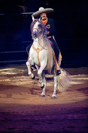 090118_LA_HONDA_CENTER_0072