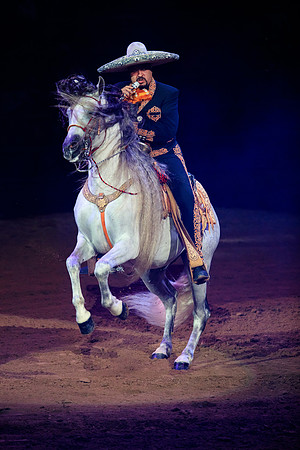 090118_LA_HONDA_CENTER_0074
