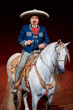 090118_LA_HONDA_CENTER_0043