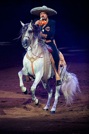 090118_LA_HONDA_CENTER_0075