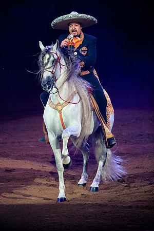 090118_LA_HONDA_CENTER_0076
