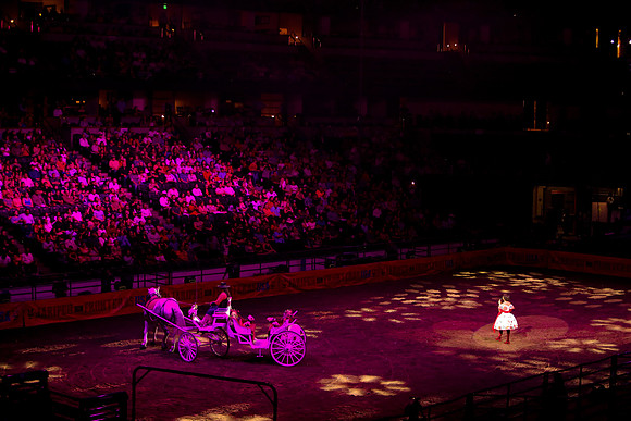 090119_HONDA_CENTER_0368
