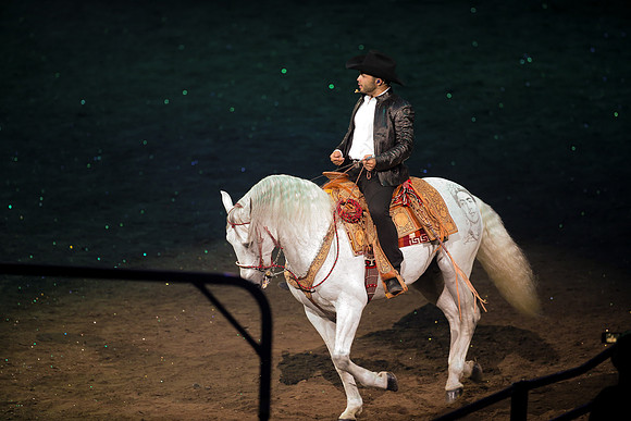 090119_HONDA_CENTER_0252