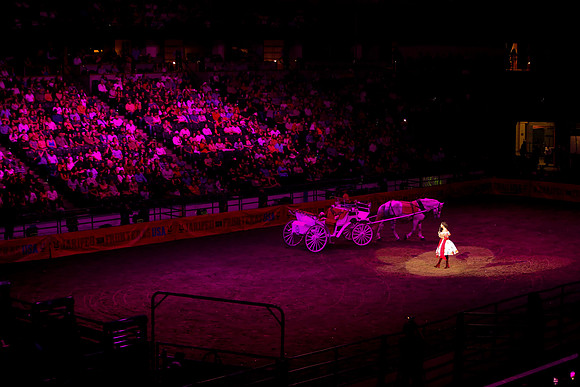 090119_HONDA_CENTER_0375