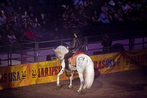 090119_HONDA_CENTER_0255