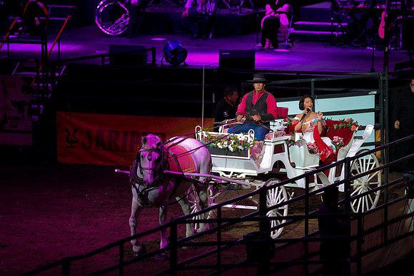 090119_HONDA_CENTER_0340