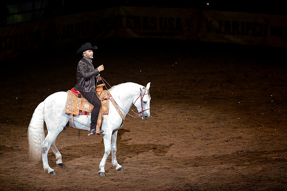 090119_HONDA_CENTER_0308