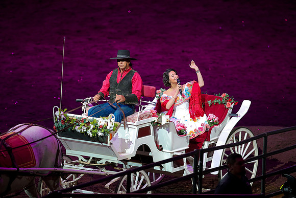 090119_HONDA_CENTER_0348