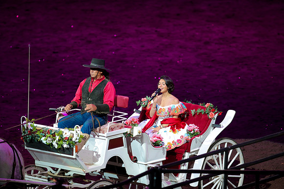 090119_HONDA_CENTER_0351