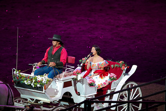 090119_HONDA_CENTER_0350