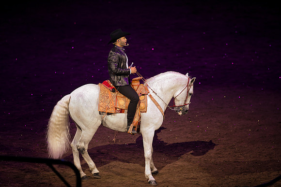 090119_HONDA_CENTER_0284