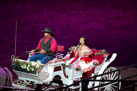 090119_HONDA_CENTER_0352
