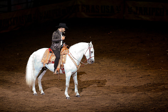 090119_HONDA_CENTER_0311