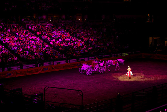 090119_HONDA_CENTER_0373