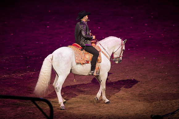 090119_HONDA_CENTER_0286