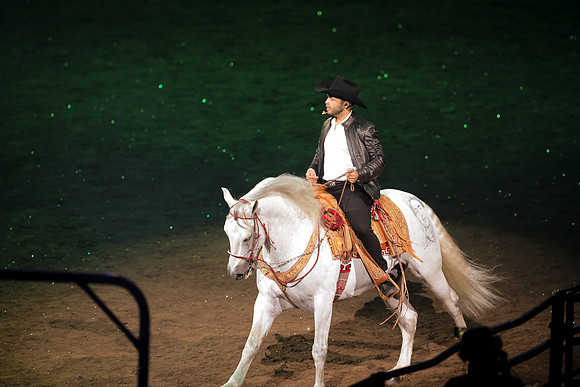 090119_HONDA_CENTER_0251