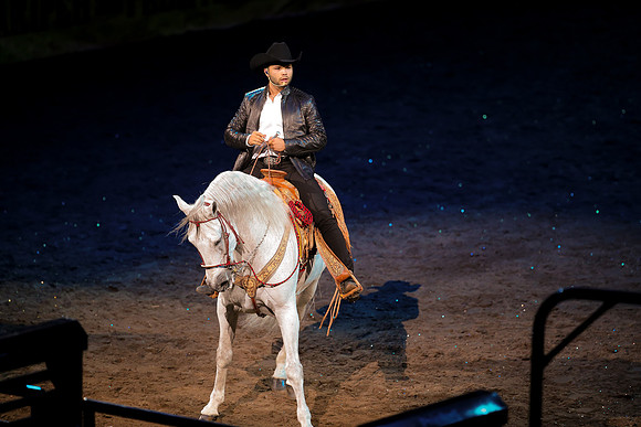 090119_HONDA_CENTER_0333