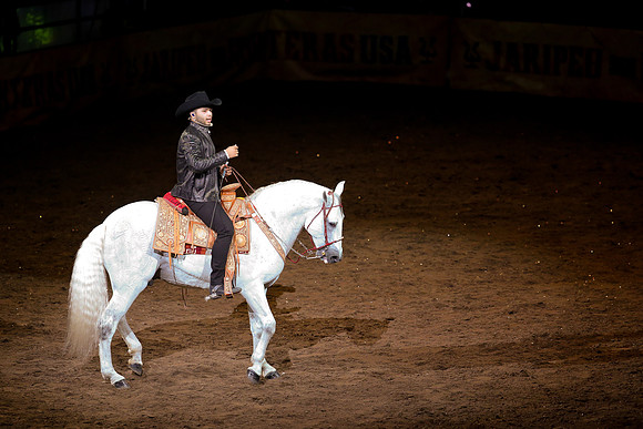 090119_HONDA_CENTER_0307
