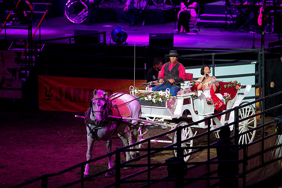 090119_HONDA_CENTER_0341