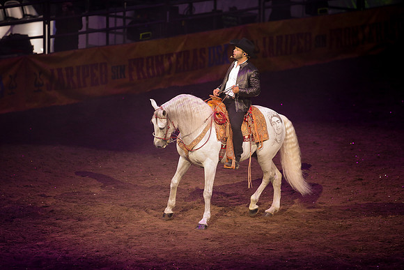 090119_HONDA_CENTER_0291