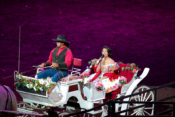 090119_HONDA_CENTER_0353
