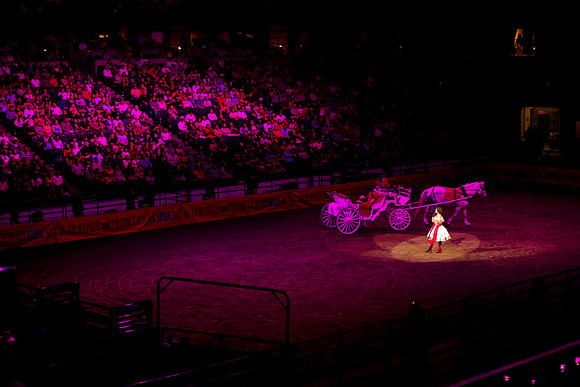 090119_HONDA_CENTER_0377