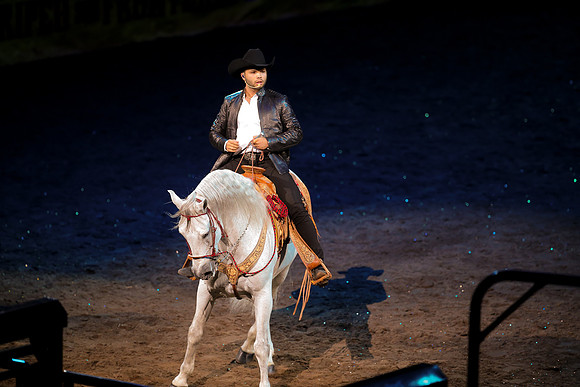 090119_HONDA_CENTER_0334